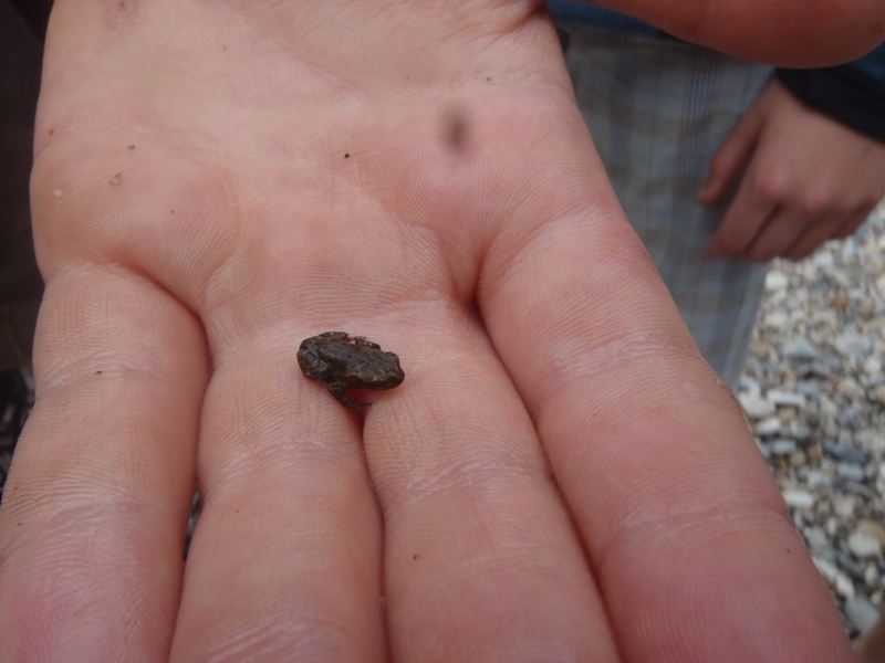 Village Camps International Summer Camp Ard&egrave;che, France 2019-07-26 https://www.villagecamps.com/journals_admin/images/632-35-03-07-2013  (26).jpg